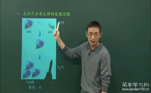 简单学习网高一生物同步必修2