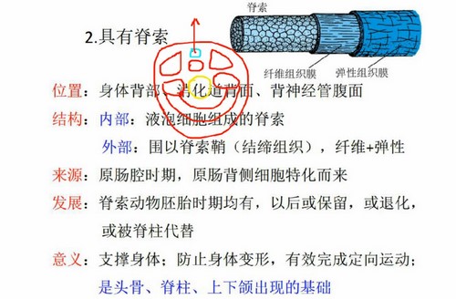 金石为开生物竞赛教授视频课