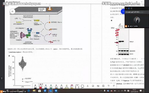 金石未开2021五一生物竞赛集训考前刷题班录播课