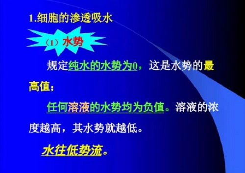 金石未开2022寒假生物竞赛生物宏观专题班课程21讲