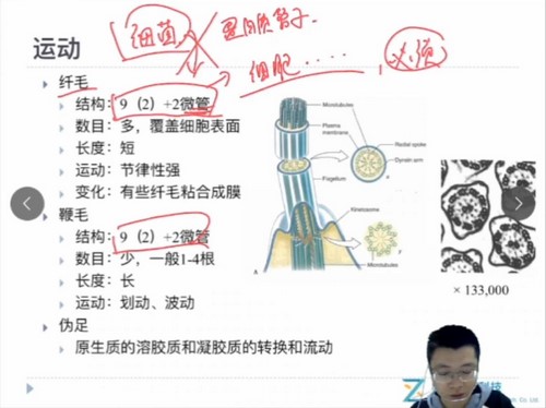 质心教育生物竞赛2020秋季动物学羊羊老师