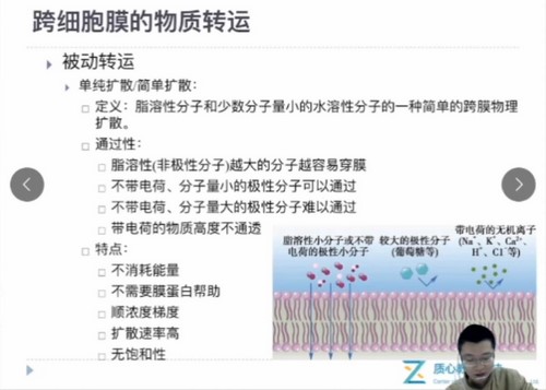 质心教育生物竞赛2020秋季动物生理羊羊老师